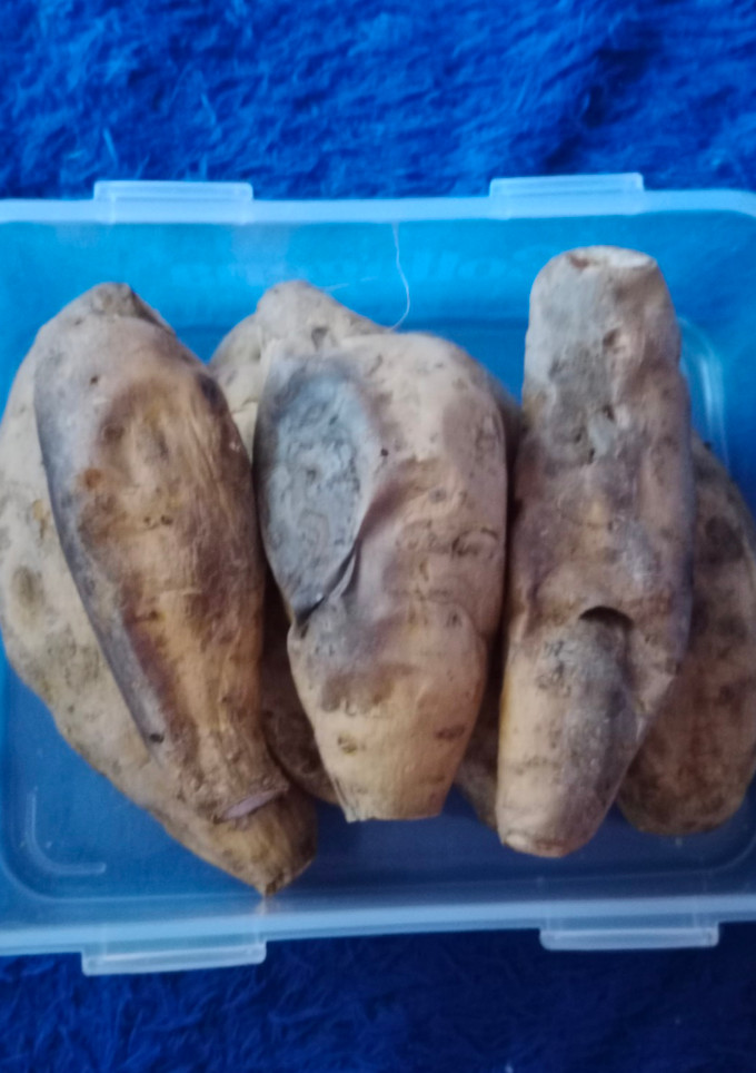 Foto resep Ubi Cilembu oven tangkring
