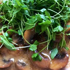 A picture of Mi-shrooms (Miso mushrooms) - vegan.