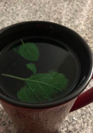 Una foto de No al stress infusión