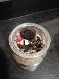 Mousse de Oreo