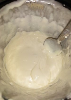 Home made mayonnaise ainihin hoton girkin