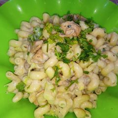 A picture of White Sauce Pasta.