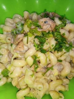A picture of White Sauce Pasta.