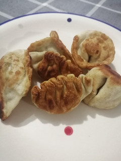 Una foto de Gyozas caseras