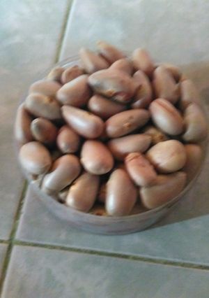 Foto resep BETON GODOG Cemilan SEHAT biji nangka rebus