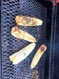 Elotes ticocolombo