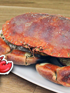 Una foto de Como cocer al Señor Cangrejo de Bob Espoja | Cocer Buey de Mar