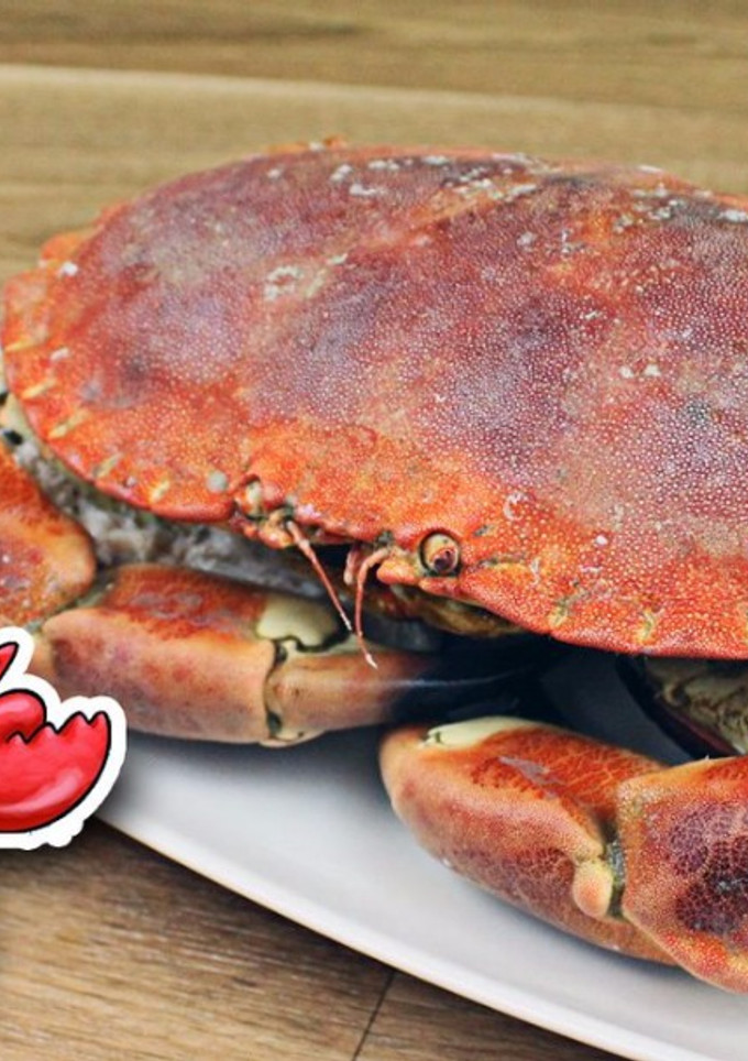 Una foto de Como cocer al Señor Cangrejo de Bob Espoja | Cocer Buey de Mar