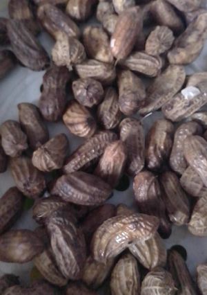 Foto resep Kacang rebus seadanya