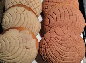 Una foto de Conchas