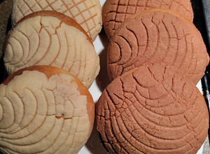 Una foto de Conchas