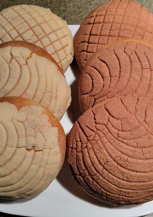 Una foto de Conchas