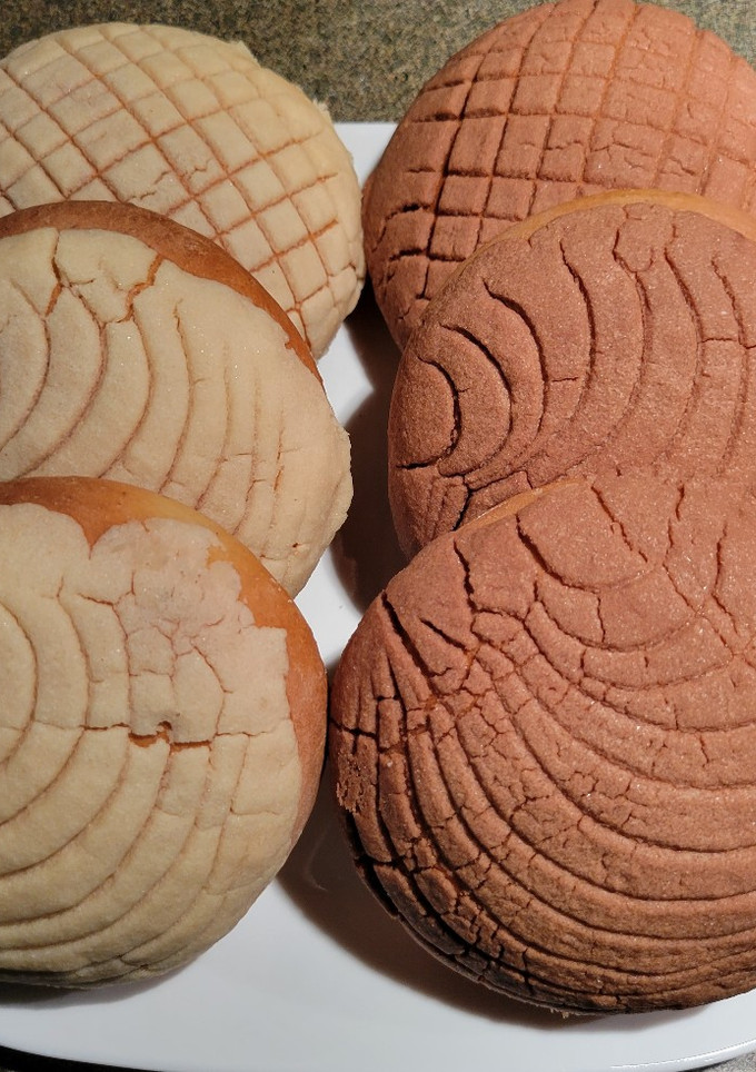 Una foto de Conchas