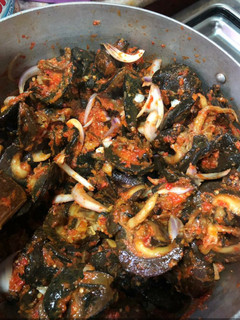 A picture of Peppered snail.