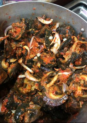A picture of Peppered snail.