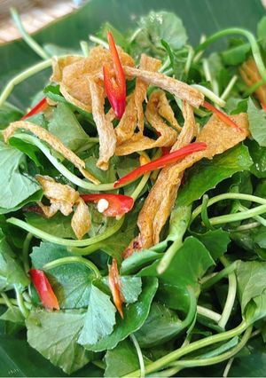 Hình của món Gỏi rau má.