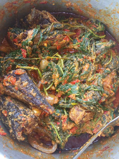 A picture of Fish with egun.