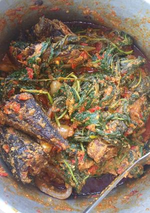 A picture of Fish with egun.