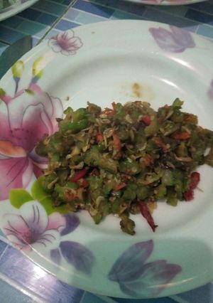 Foto resep Tumis pare+udang rebon yummu
