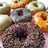 Donat Empuk dan Lembut