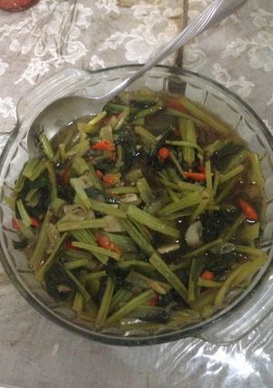 Foto resep Tumis Sawi Pedas