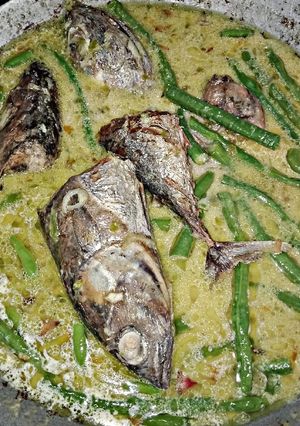 Foto resep Tongkol santan kacang