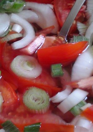 Újhagymás paradicsomsaláta recept fotója