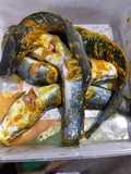 Stok lele goreng