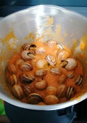 Foto principal de Caracoles en salsa
