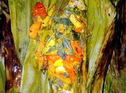 Gambar pepes ikan kembung