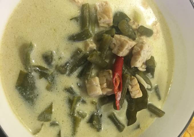 Resep Sayur Lodeh Tempe Oleh Sarah Anind Cookpad