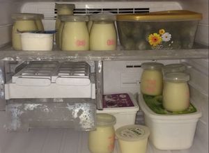 Hình của món Sữa chua dẻo tự ủ bằng nồi cơm điện.