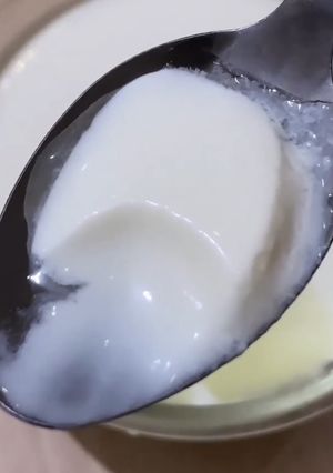 Foto resep Homemade Yogurt Pakai Yogurt Starter (Bibit Yogurt)