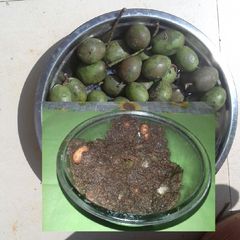A picture of Sweet and sour olive pickle.