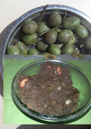 A picture of Sweet and sour olive pickle.