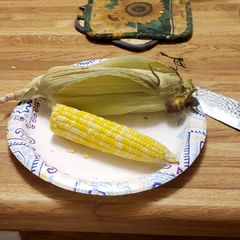 A picture of Microwave Corn on Cobb.