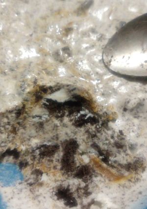Una foto de Helado de Oreo