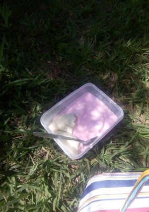 A picture of Ugali and strawberry yogurt.