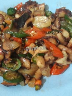 Foto resep Oseng-oseng cumi