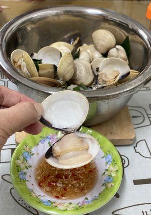Hình của món Nghêu hấp lá quế.