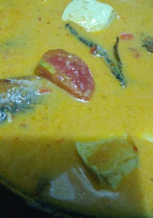 Foto resep Ikan Tongkol bumbu santan
