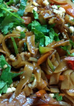 A picture of Spicy Asian stir fry ho fun.