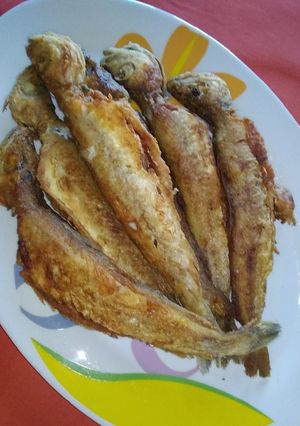 Φωτογραφία της συνταγής Μπακαλιαράκια!🐟 Προσφυγάκια!🐟
