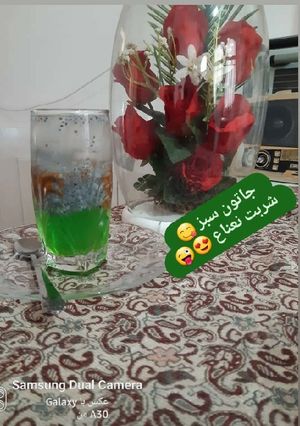 عکسی از دستور شربت نعناع