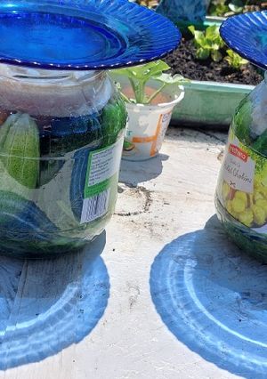 Anyu kovászos uborkája recept fotója