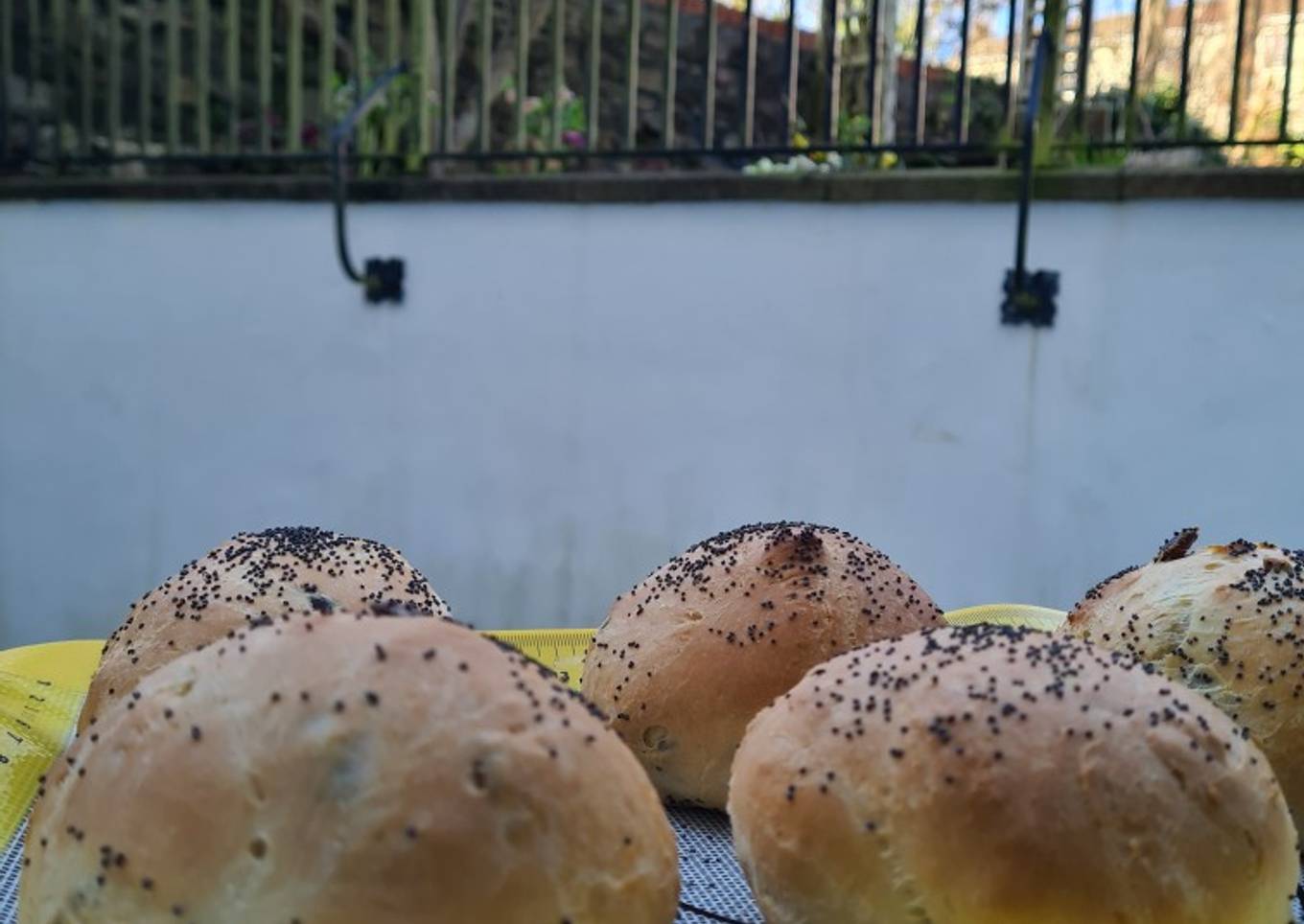 Burger buns with sunflower seeds