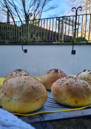 A picture of Burger buns with sunflower seeds.