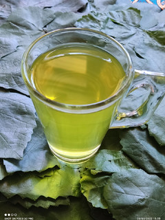 عکسی از دستور دمنوش برگ مو