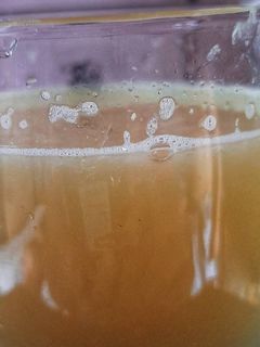 মুসাম্বি জ্যুস (musambi juice recipe in Bengali) রেসিপির প্রধান ছবি