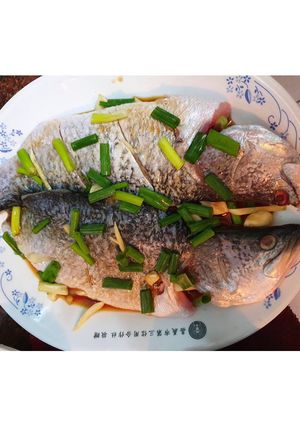 清蒸鱸魚 的食譜成品照片